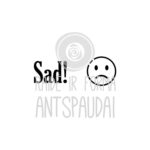 Antspaudai mokytojams anglų kalba